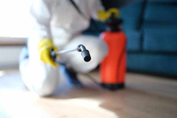 Mold Remediation for Vacation Homes in Carnot Moon, PA